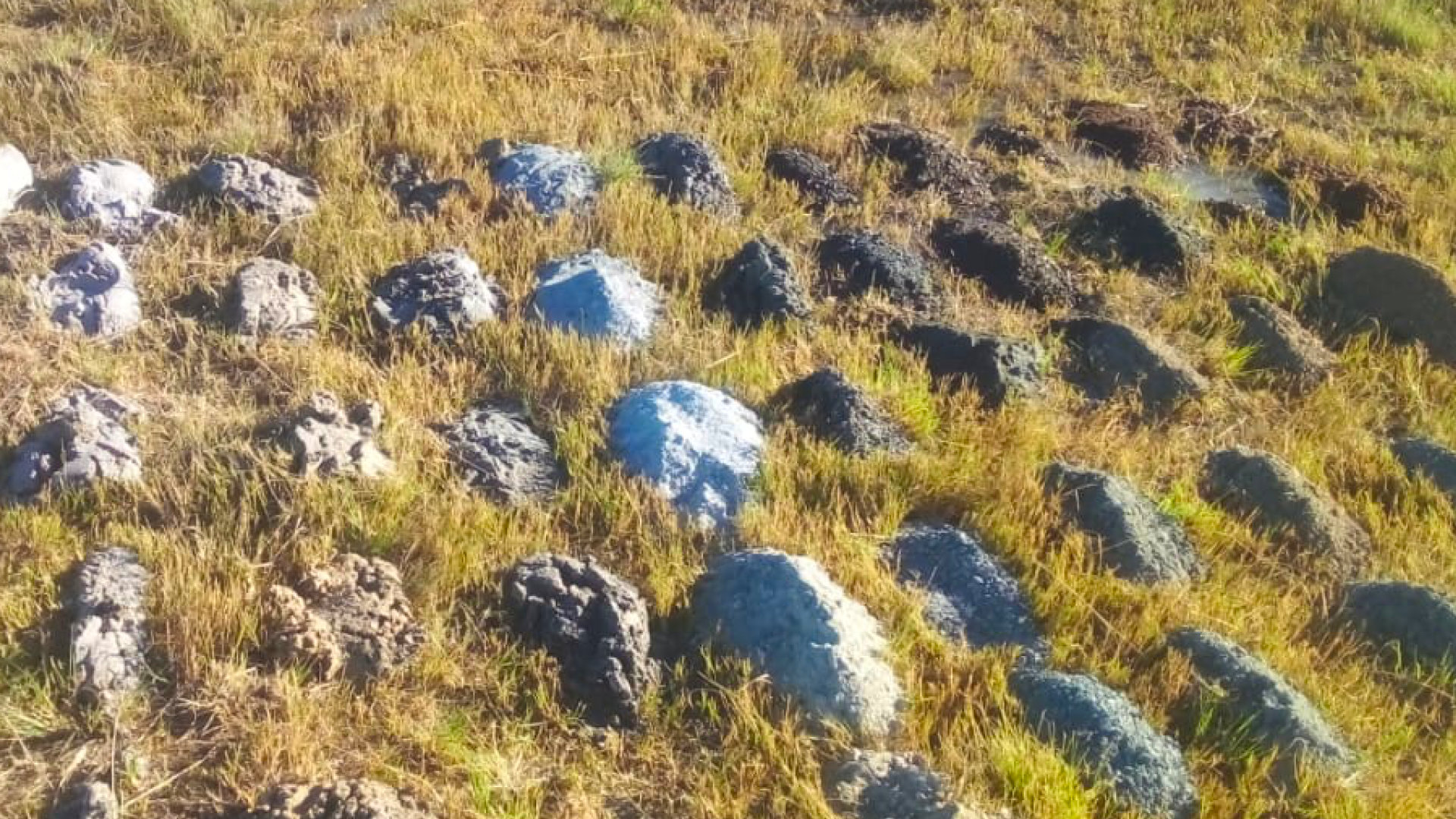 surveying water source